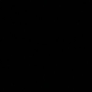 Meet your Posher, Rajwinder